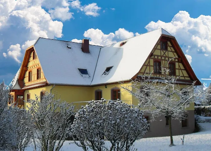 Chez Christelle - Proximite Route Des Vins D'alsace ベッド・アンド・ブレックファスト